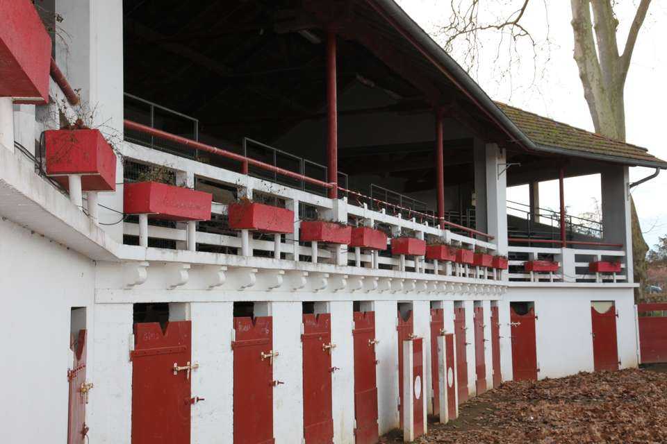 ©droits reservésArenes Laurede 1