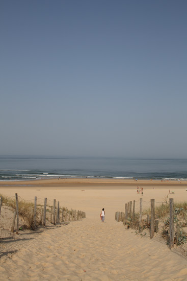 Rémi DantecPlage des Chênes Lièges Moliets- Landes Atlantique Sud