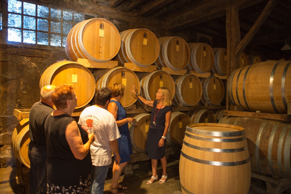 ©OT Landes d'armagnacArthez d'Armagnac - Domaine d'Ognoas - Chai - Visite Guidée_1