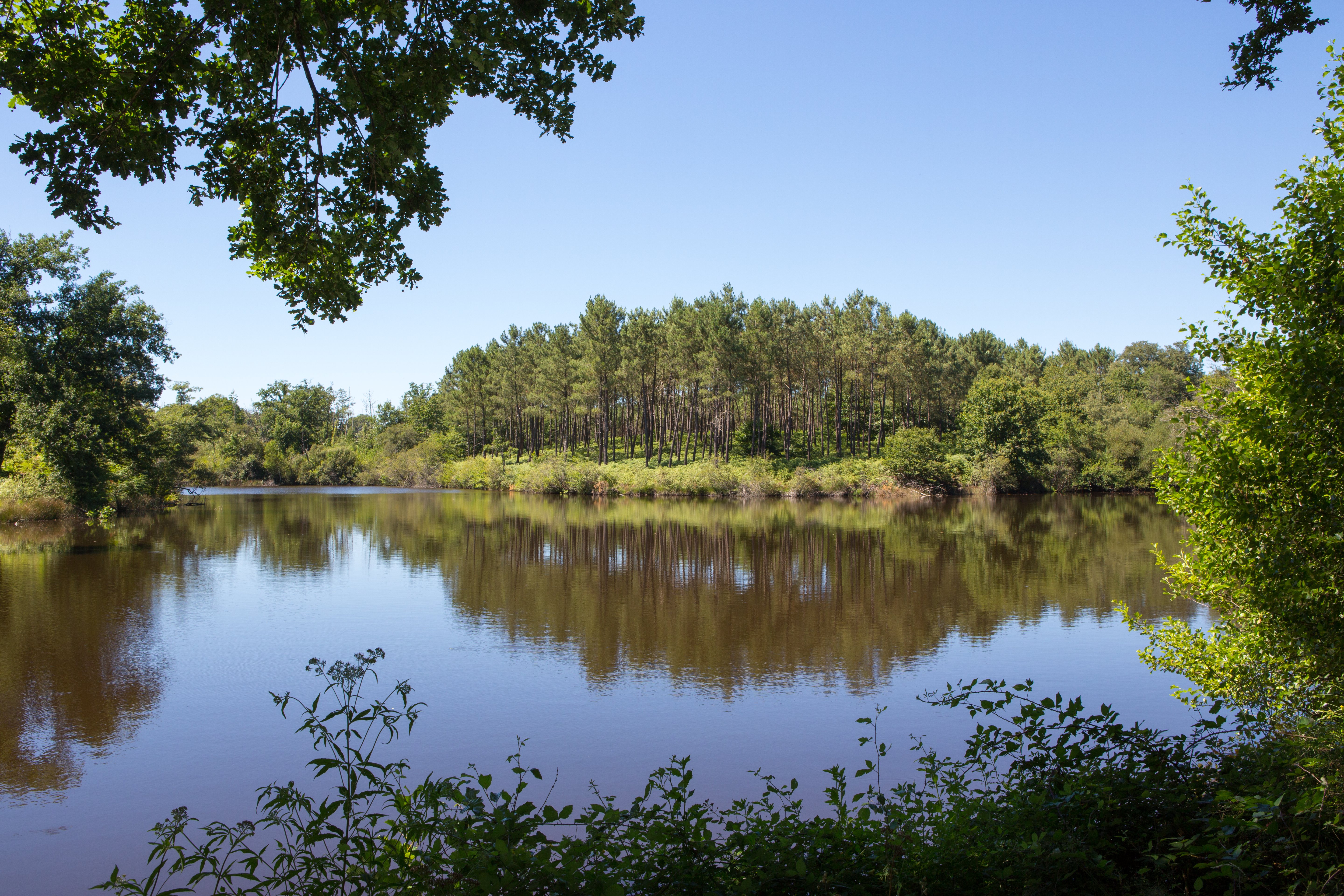 ©OTLAArthez d'Armagnac - Etang de la Gaube - Domaine d'Ognoas (5)