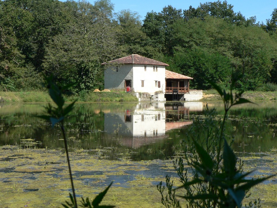 ©OTLAArthez d'Armagnac - Etang de la Gaube - Moulin de la Gaube - Domaine d'Ognoas