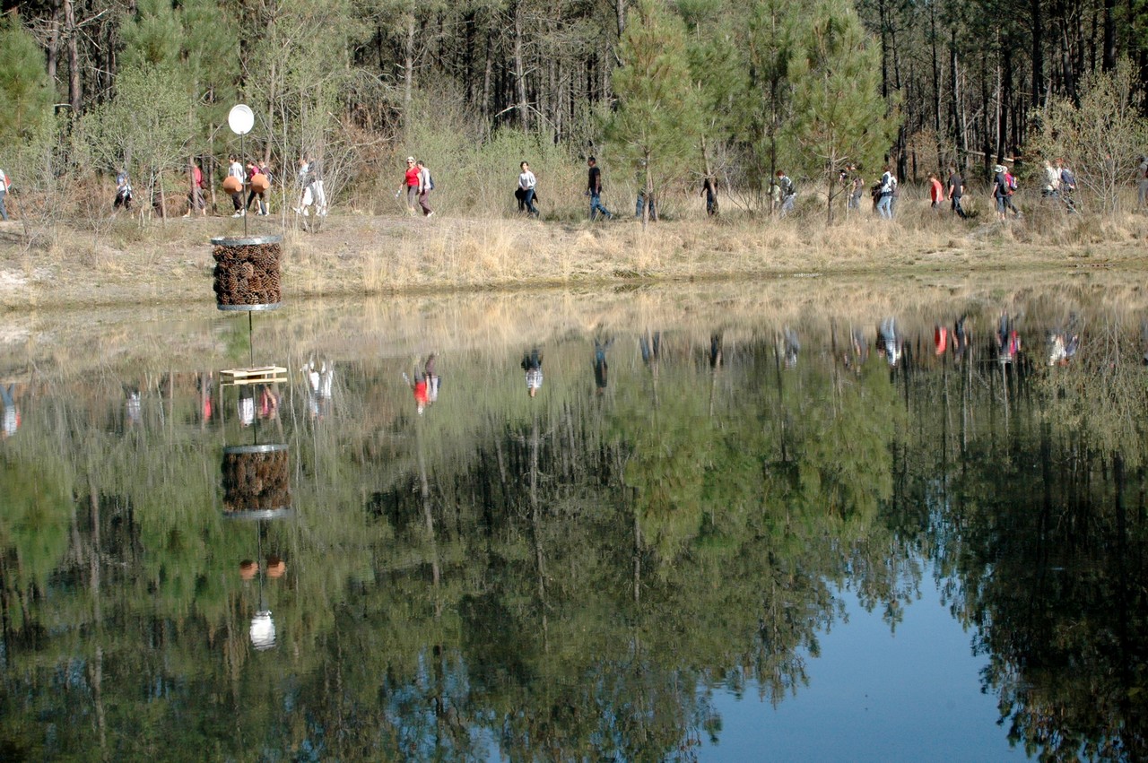 ©OTLAArue---Lagune-Nabias--15--2