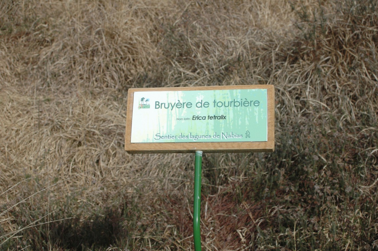 ©OTLAArue---Lagune-Nabias--4-