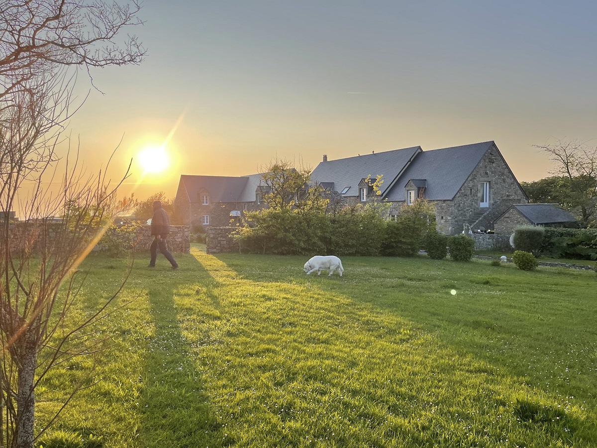 propriétaireauderville-hotel-du-cap-jardin