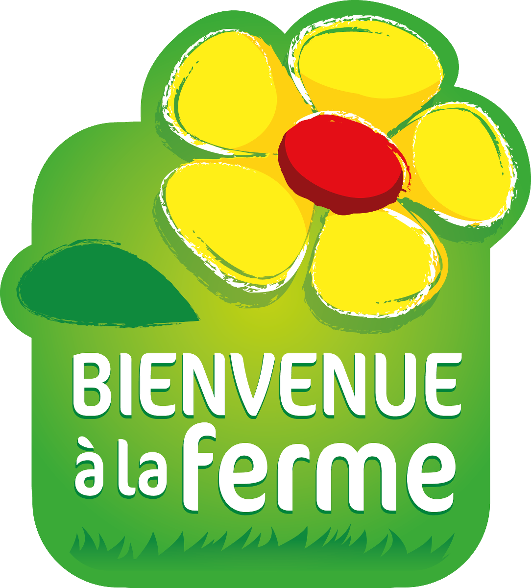 BAFbienvenue