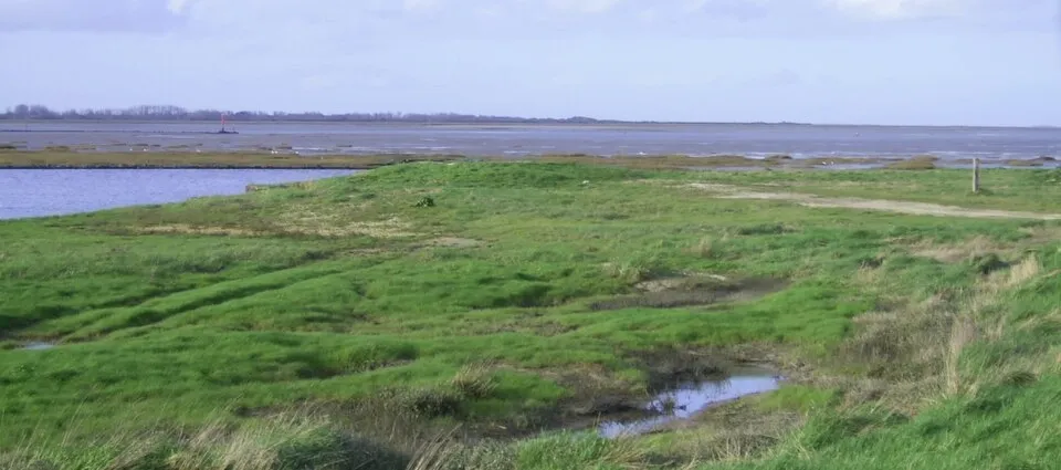Baie des Veys