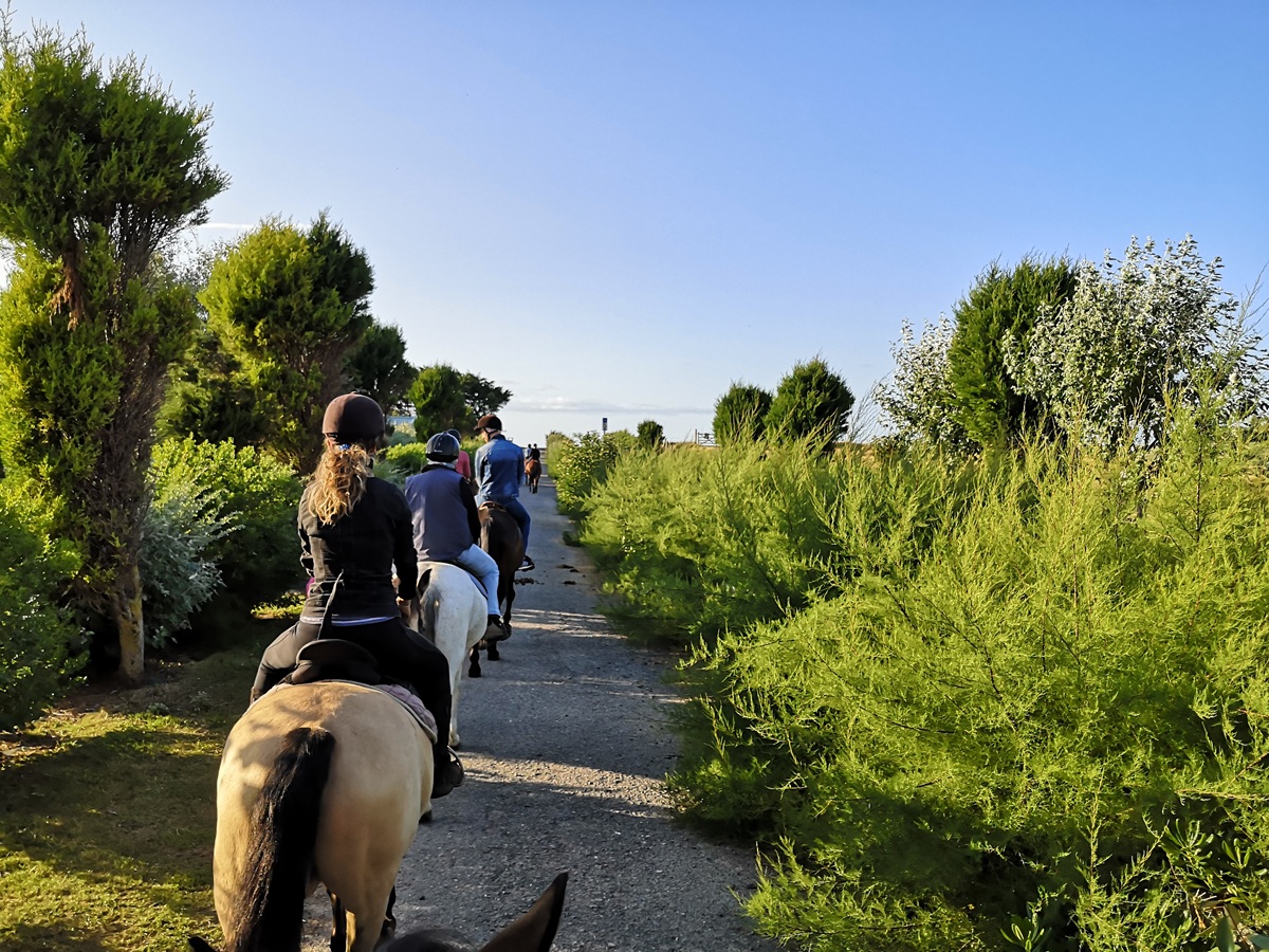 Amélie PankowBALADE-A-CHEVAL-COURSEULLES-SUR-MER-PARC-DE-L-EDIT-CREDIT-AMELIE-PANKOW