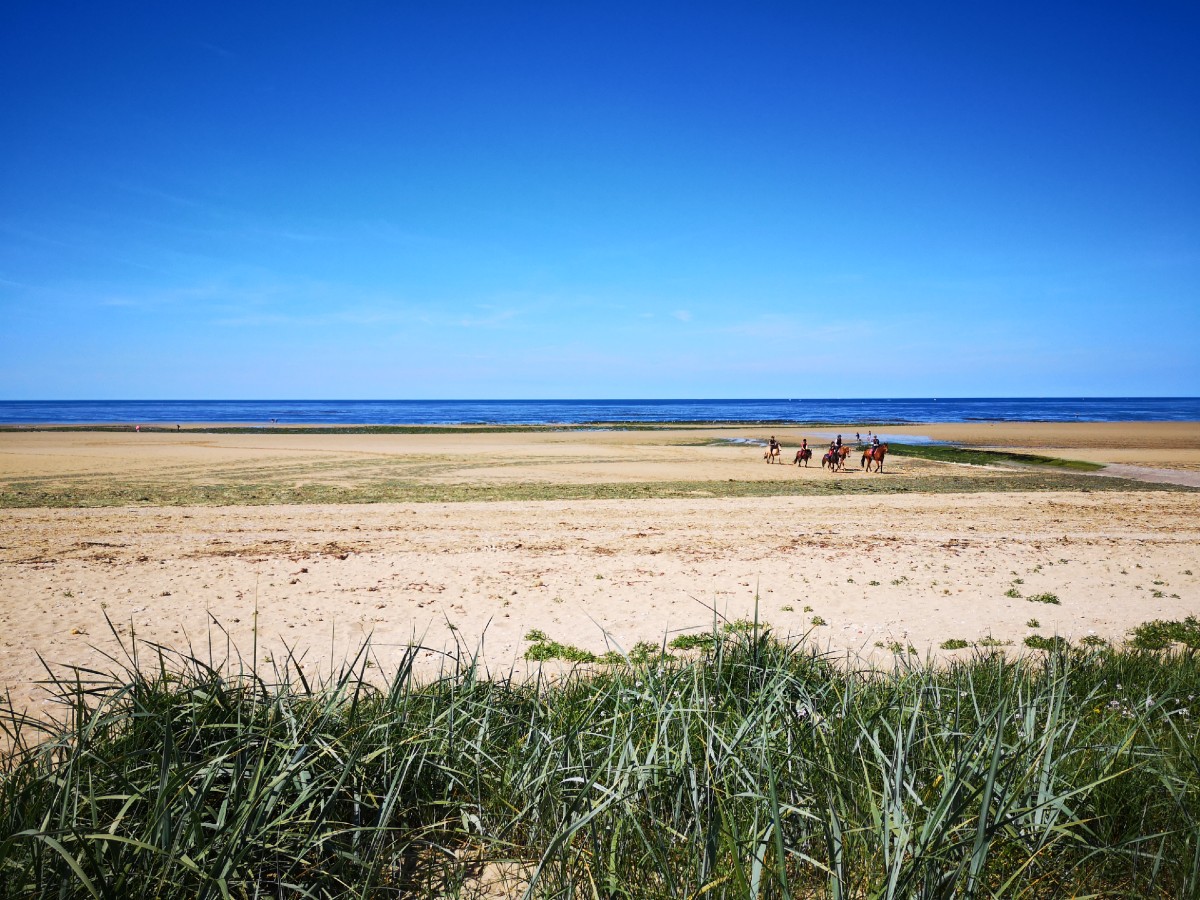 Amélie PANKOWBALADE-A-CHEVAL-PLAGE-CREDIT-AMELIE-PANKOW--2-
