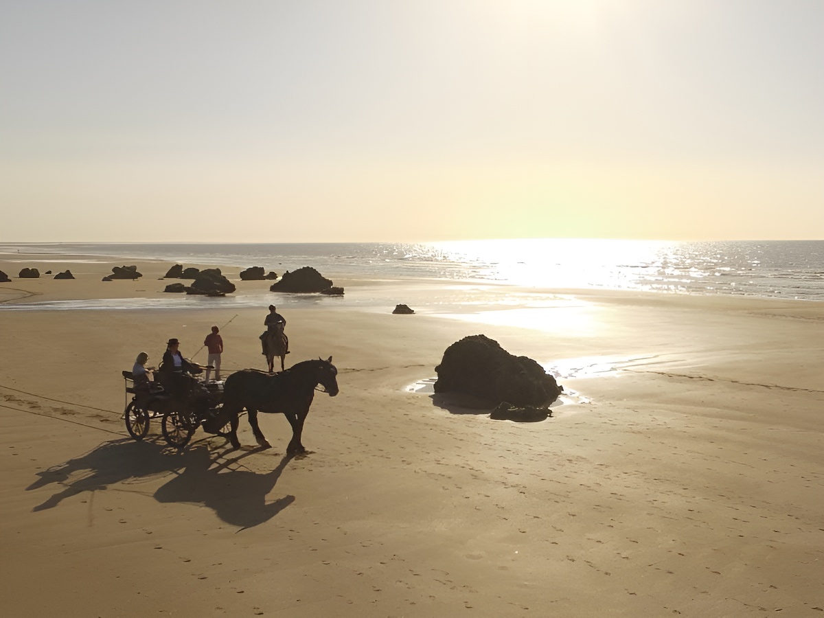 Charly MobileBalade en calèche sur la plage en amoureux , Houlgate