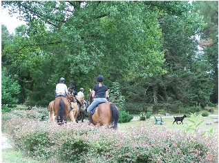 © TarisBalades cheval Tais Moustey (1).