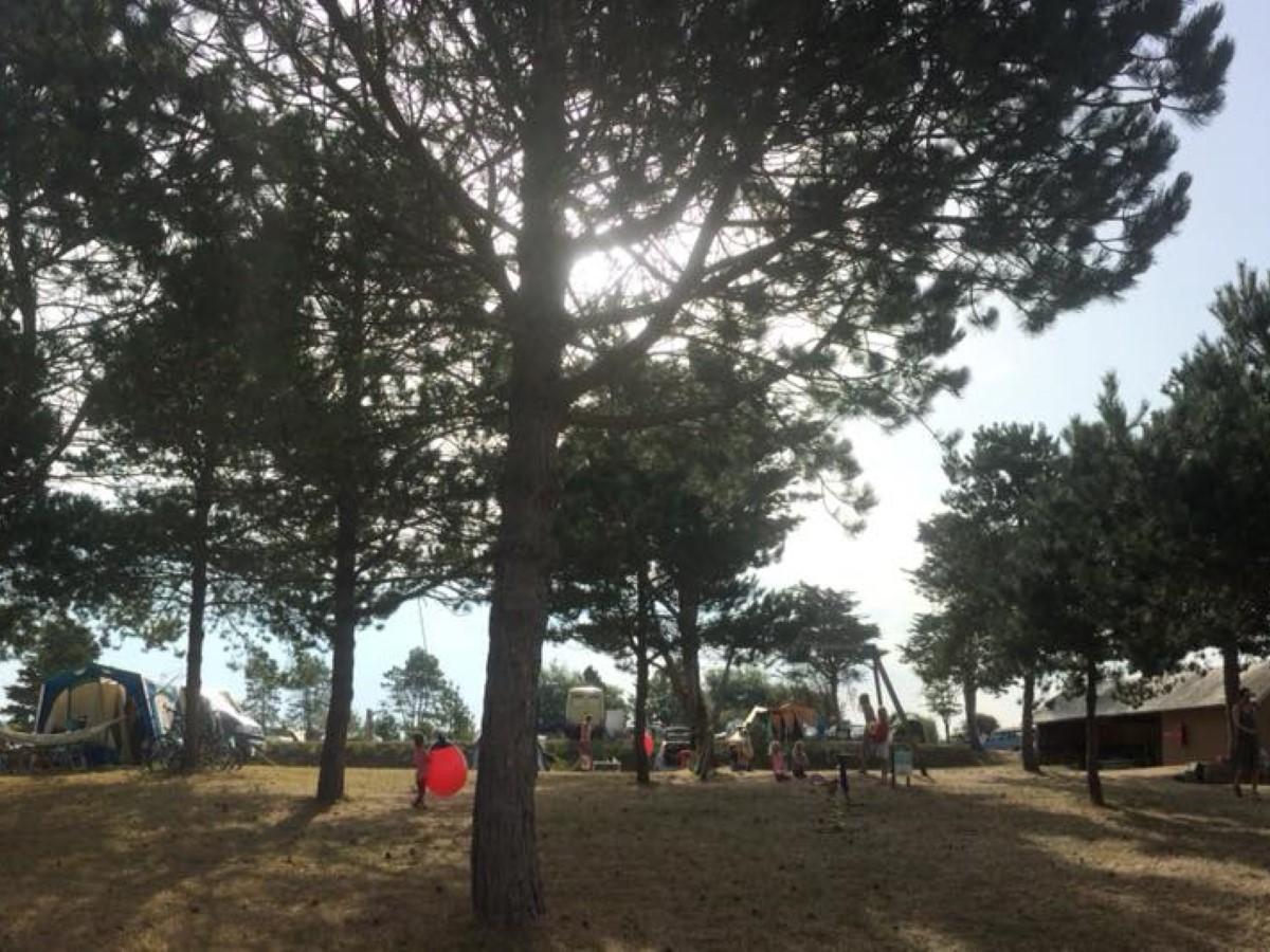 PROPRIETAIREBaubigny-camping-bel-sito-lecoeur-6