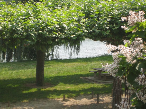 © Camping municipal de Grenade/AdourBerges Adour 1_4
