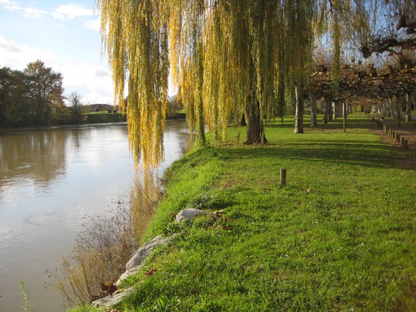 © Camping municipal de Grenade/AdourBerges Adour 2_5