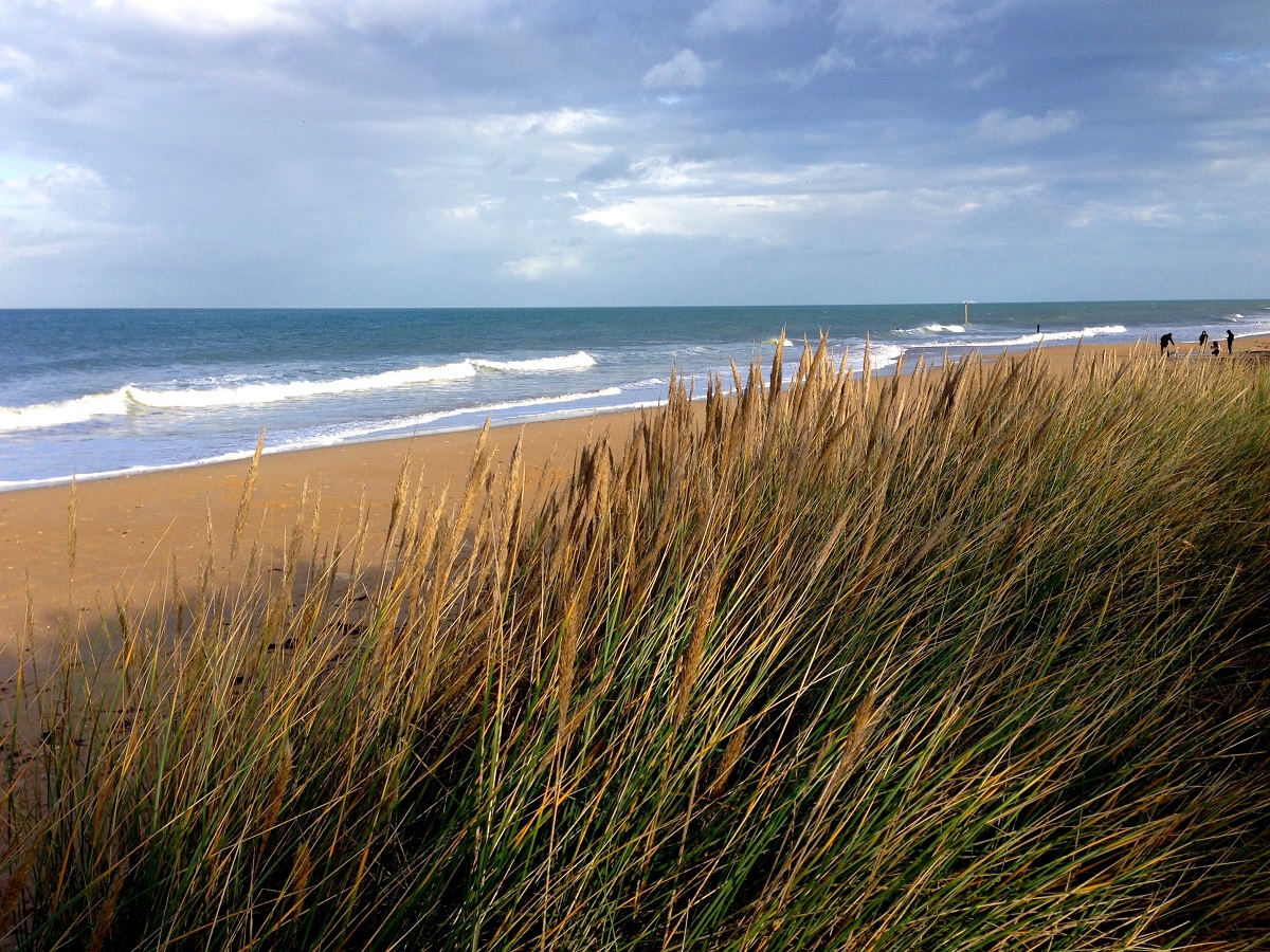 Francois DupontBERNIERES-SUR-MER-DUNES-PLAGE-HIVER-CREDIT-FRANCOIS-DUPONT