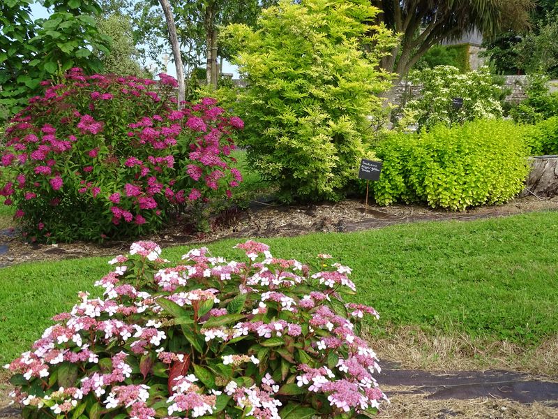 PROPRIETAIREbeuzeville-la-bastille-jardin-du-bord-de-douve-2