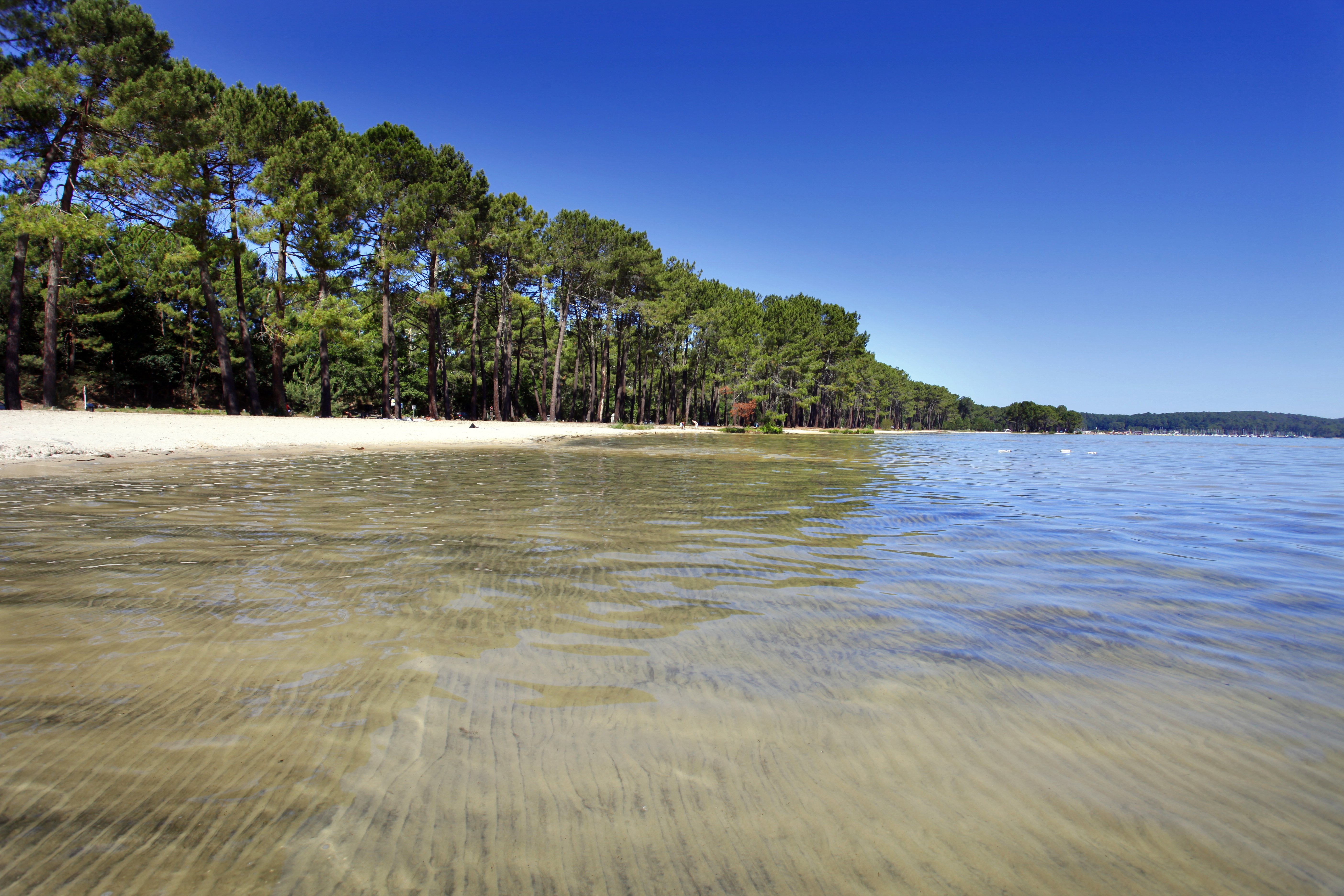 biscgrandslacsBisca-plage-lac