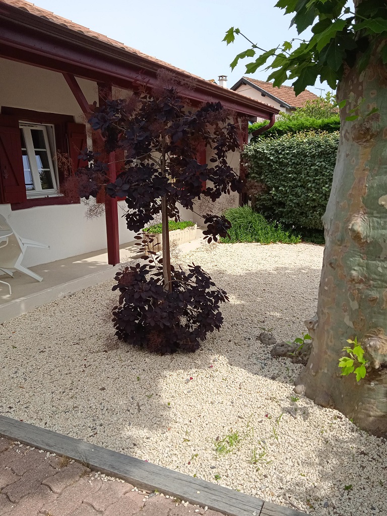 AMUNZATEGUYMaison Amunzateguy_Vieux-Boucau_Landes Atlantique Sud