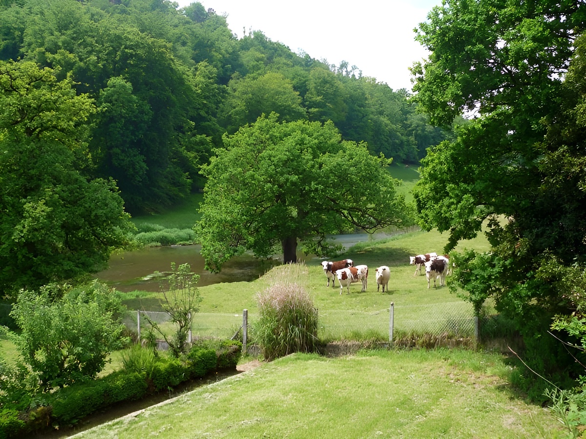 Calvados TourismeBOCAGENORMAND_VALLEEDELAVIRE&PAYSAGE&VACHE081012©CALVADOS-TOURISME_LIBRE