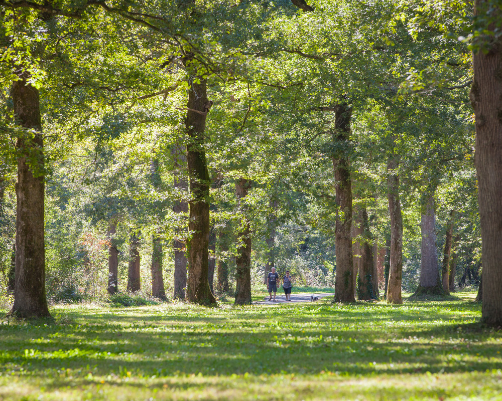 OITT Grand Dax - Romain Baylebois-boulogne
