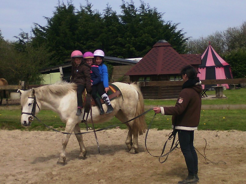 PROPRIETAIREbolleville-ecurie-leseigneur-animations-equestres