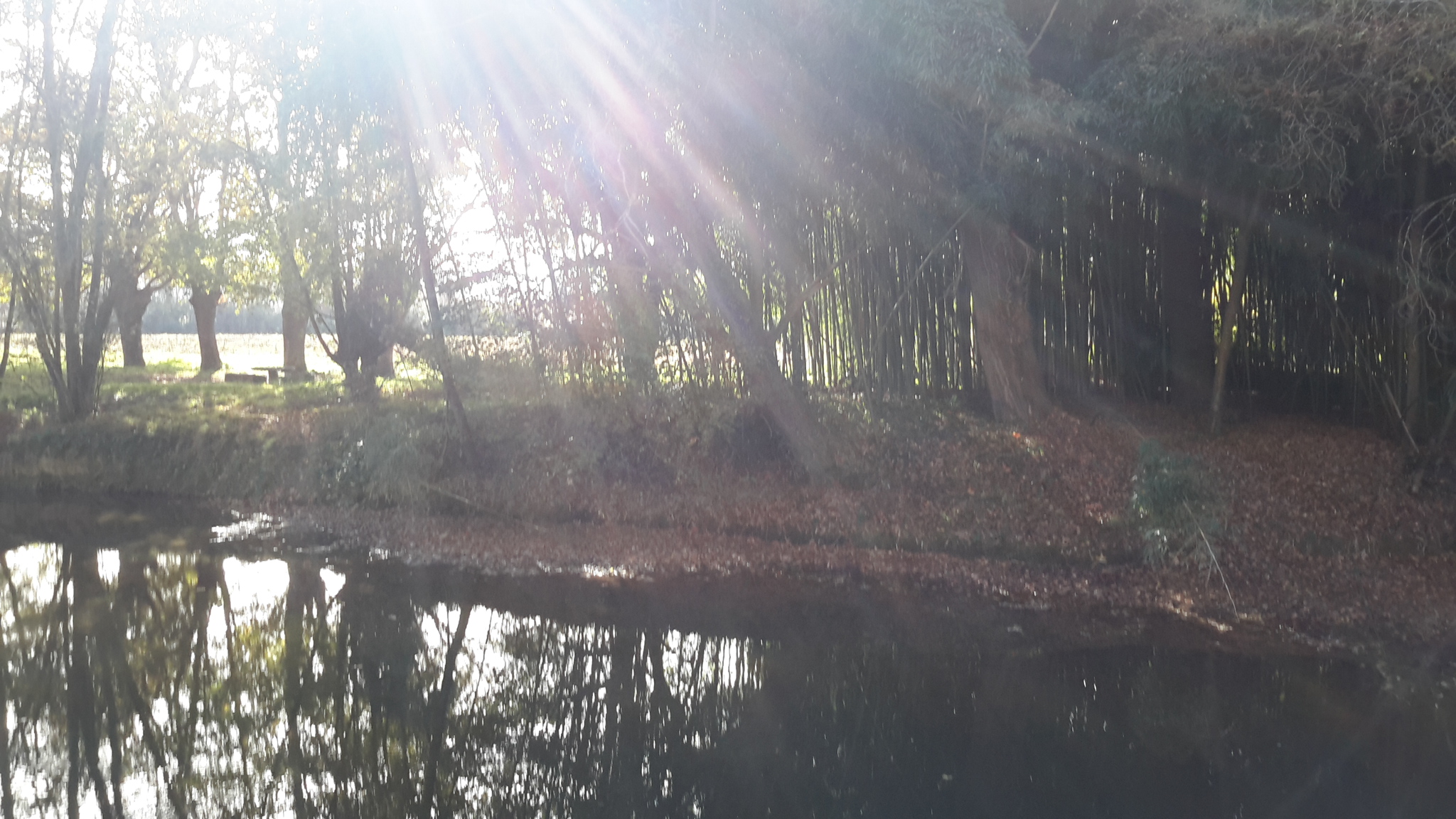 OT des LuysBord-du-Luy