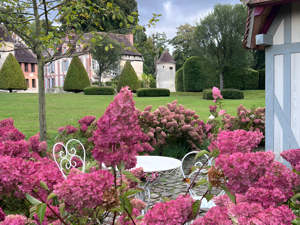 Château de BoutemontLes hydrangeas de la cabane du lutin