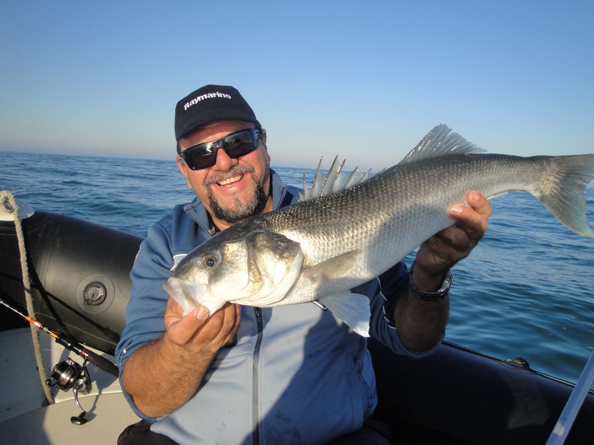 PROPRIETAIREbreville-sur-mer-free-fishing-2