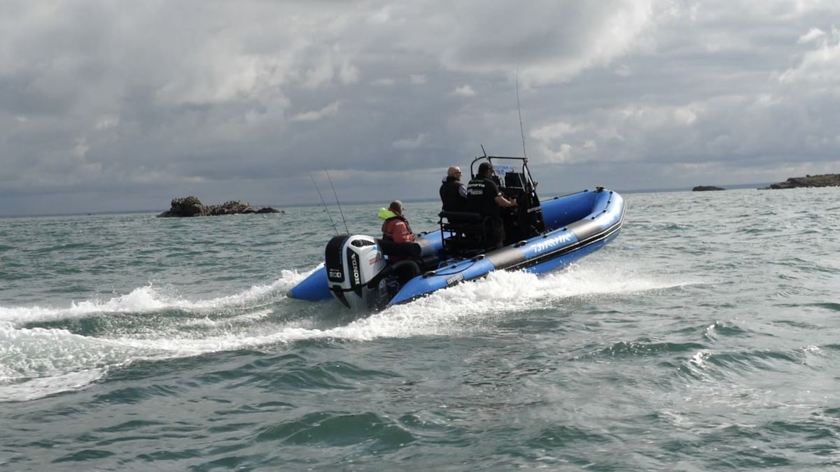 PROPRIETAIREbreville-sur-mer-free-fishing-3