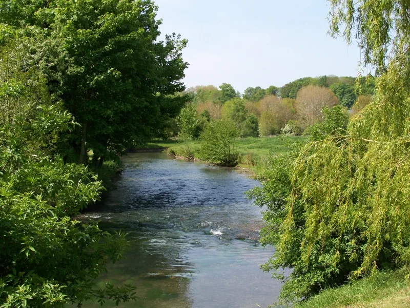 Balade en paddle : Découverte de la Saâne Saint-Aubin-sur-Mer