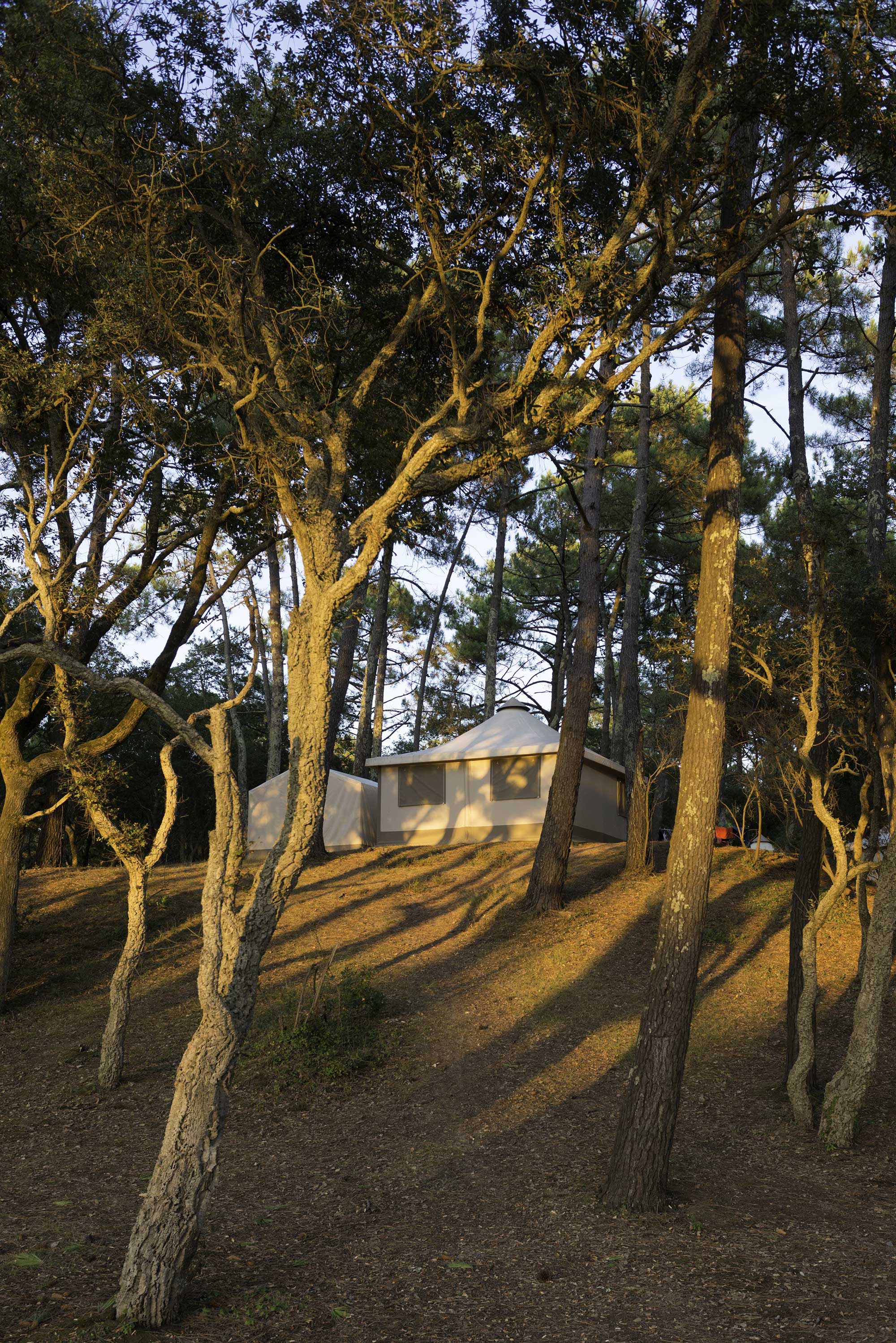 ©Didier Delaine/CampéoleCampéole 2016-Fierbois Capbreton