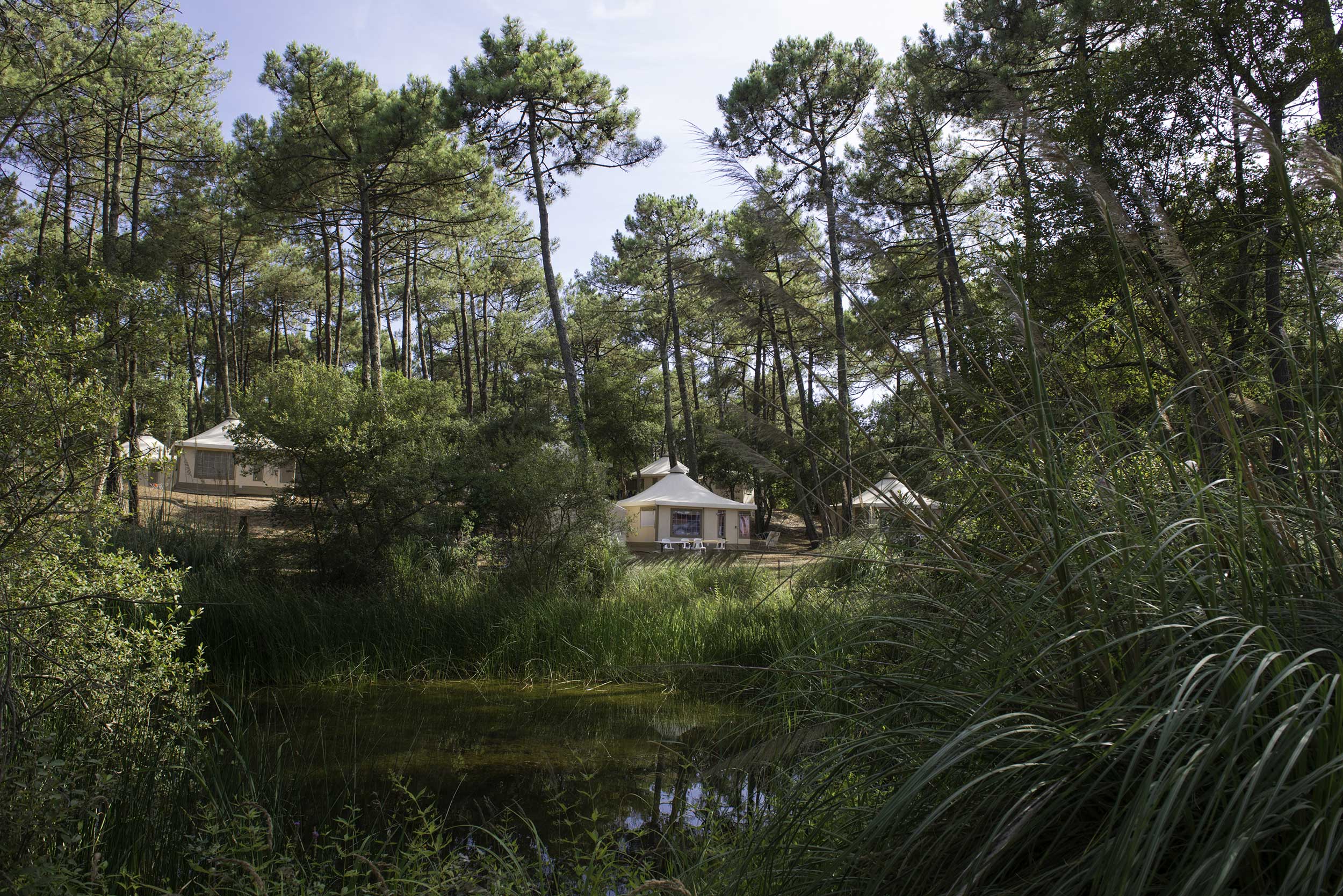 ©Didier Delaine/CampéoleCampéole 2016-Fierbois Capbreton