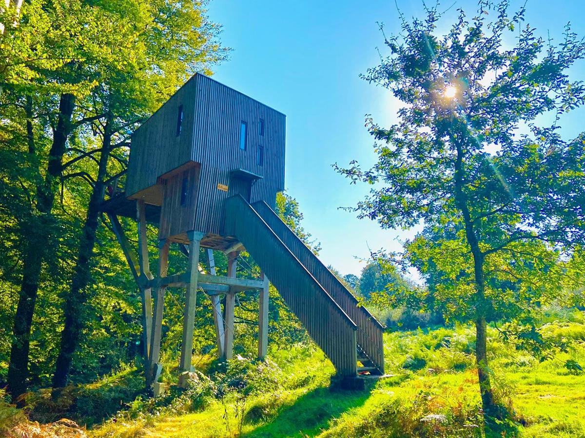 étape en forêtCabane arbre (Copy)