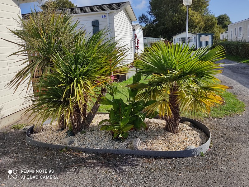 Le ronquetcamping agon coutainville le ronquet (2)