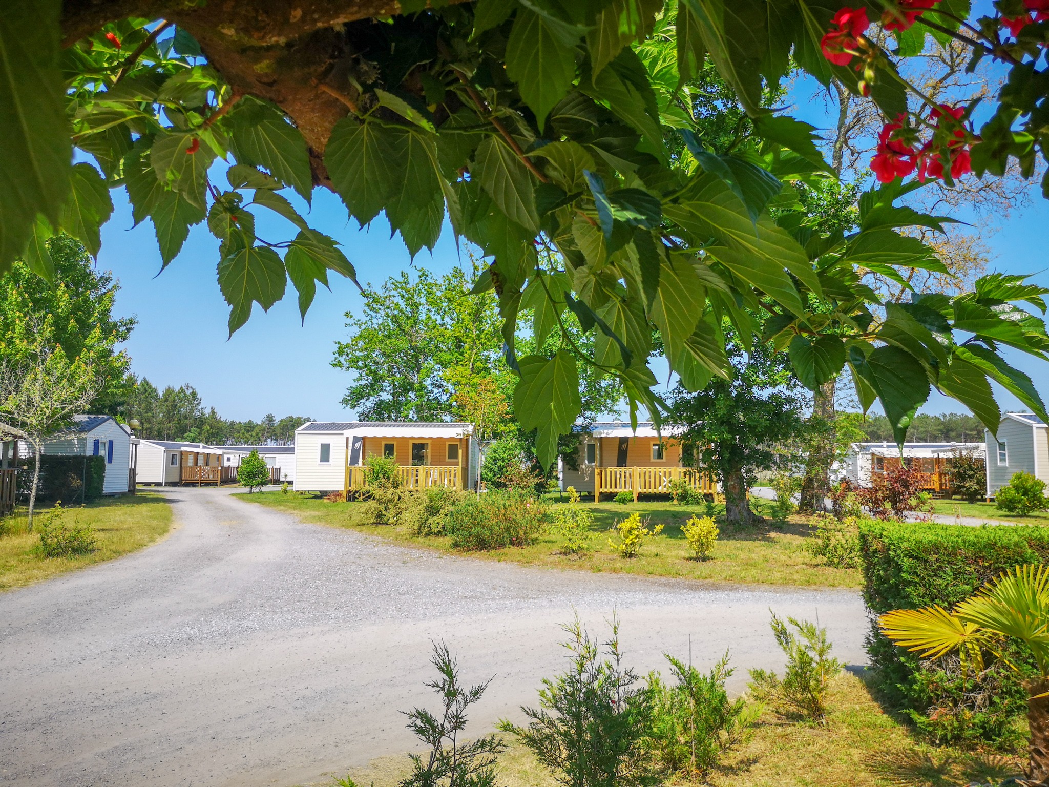 camping Landes AzurCamping-Azur-Landes-atlantique-sud--3--2