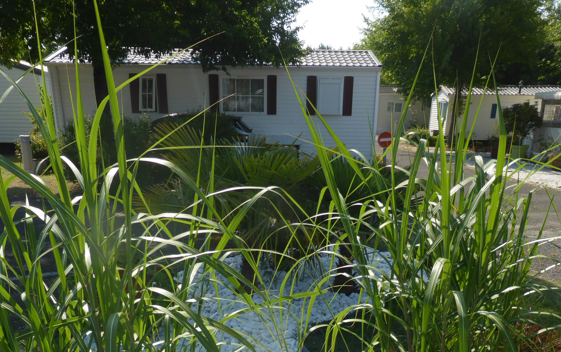 Camping Cantalaoudecamping-cantalaoude-bisca-1