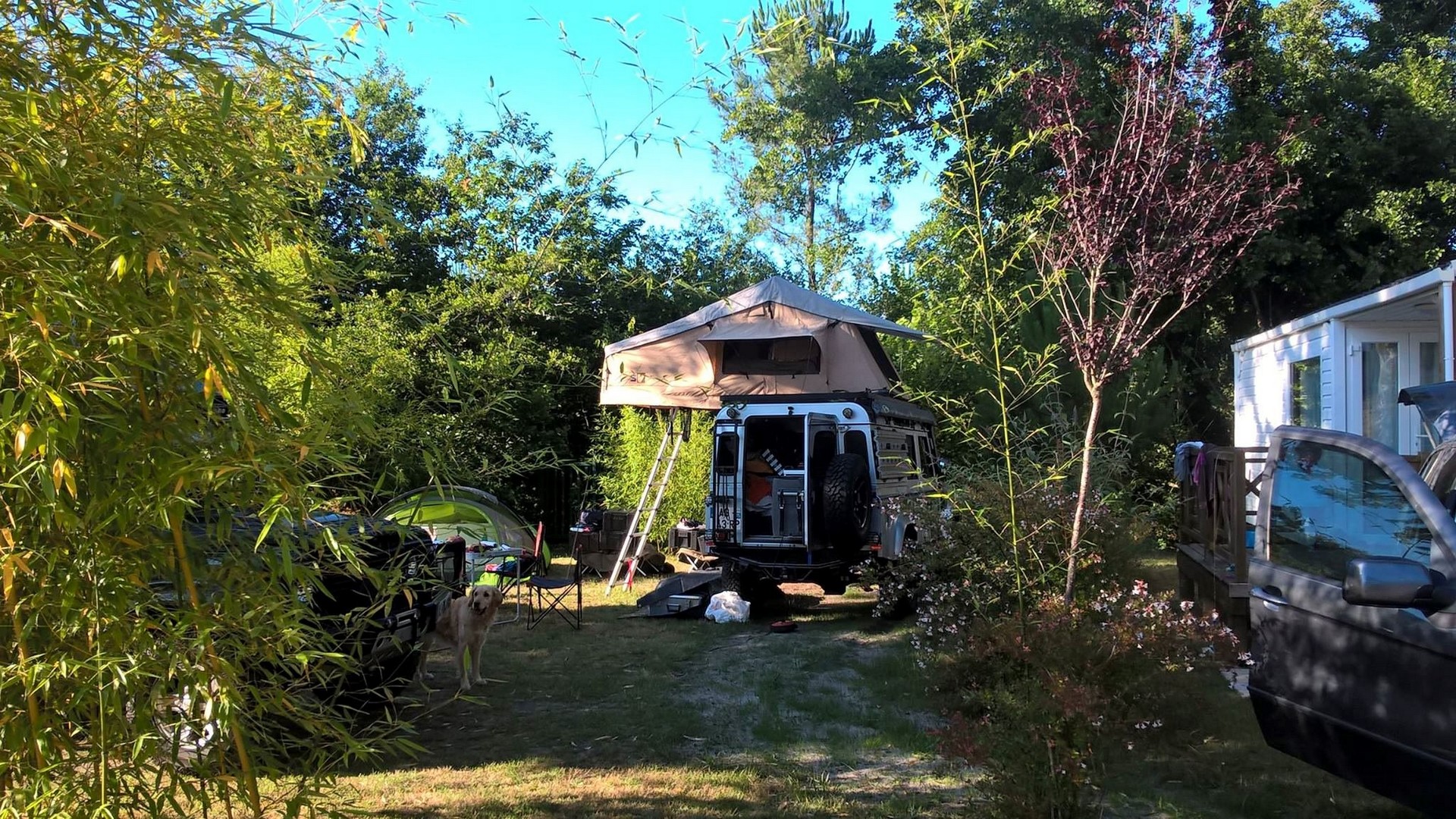 Camping des ForgesCamping des Forges insolitel