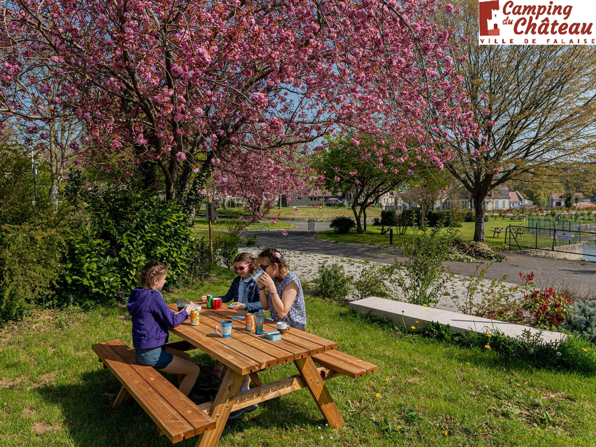 Camping du Chateaucamping-du-chateau - Falaise