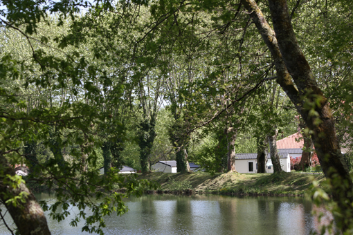 ©Camping Etang d'Ardy 2010 - 3