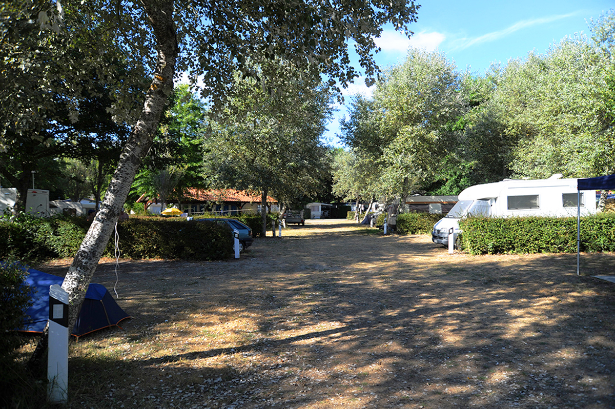 camping le Moussailloncamping le moussaillon_messanges_landes atlantique sud (2)