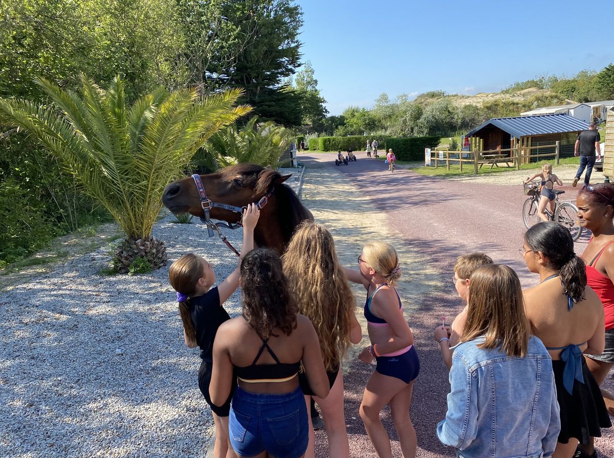 CAMPING LES CAROLINScamping-les-carolins-saint-lo-ourville-15