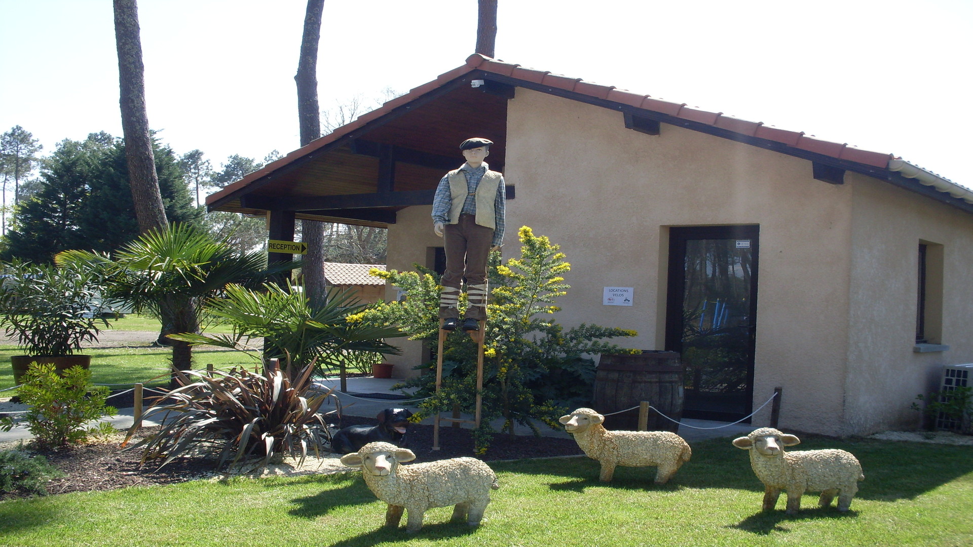 ©camping-les-echasses-ext