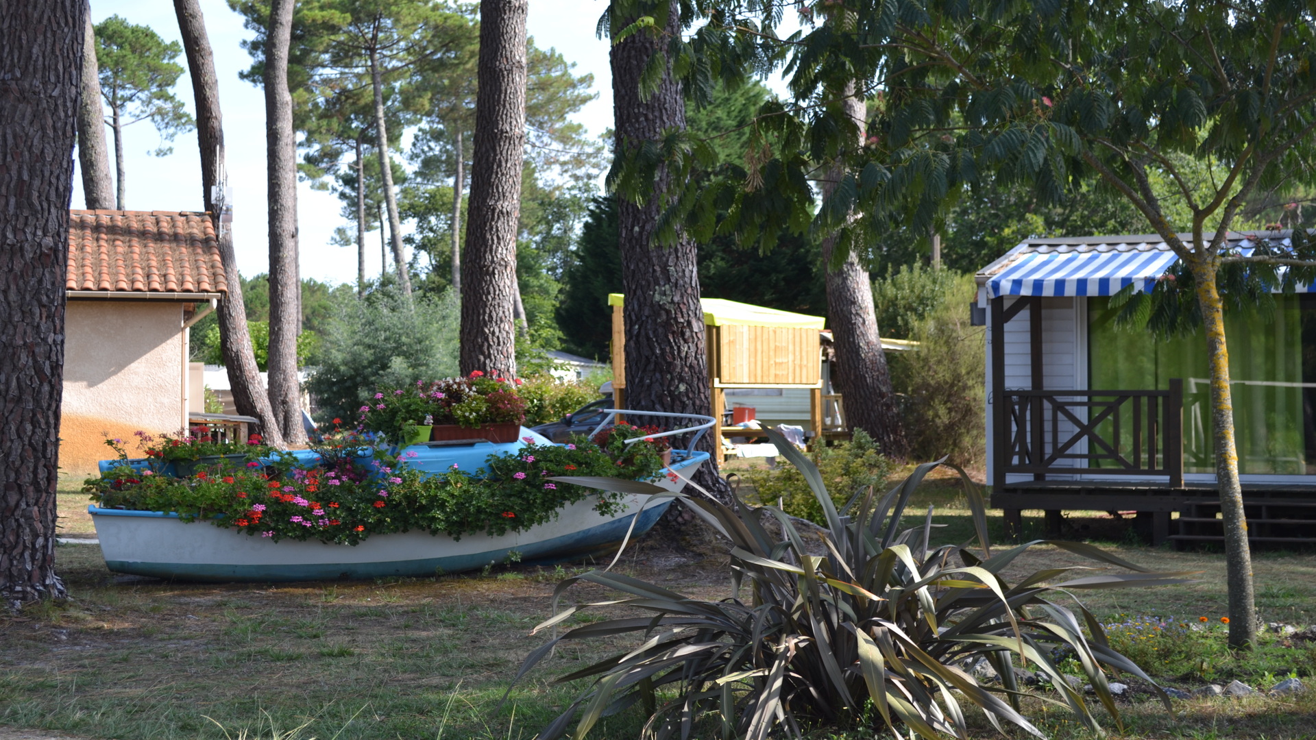 ©camping-les-echasses-ext4