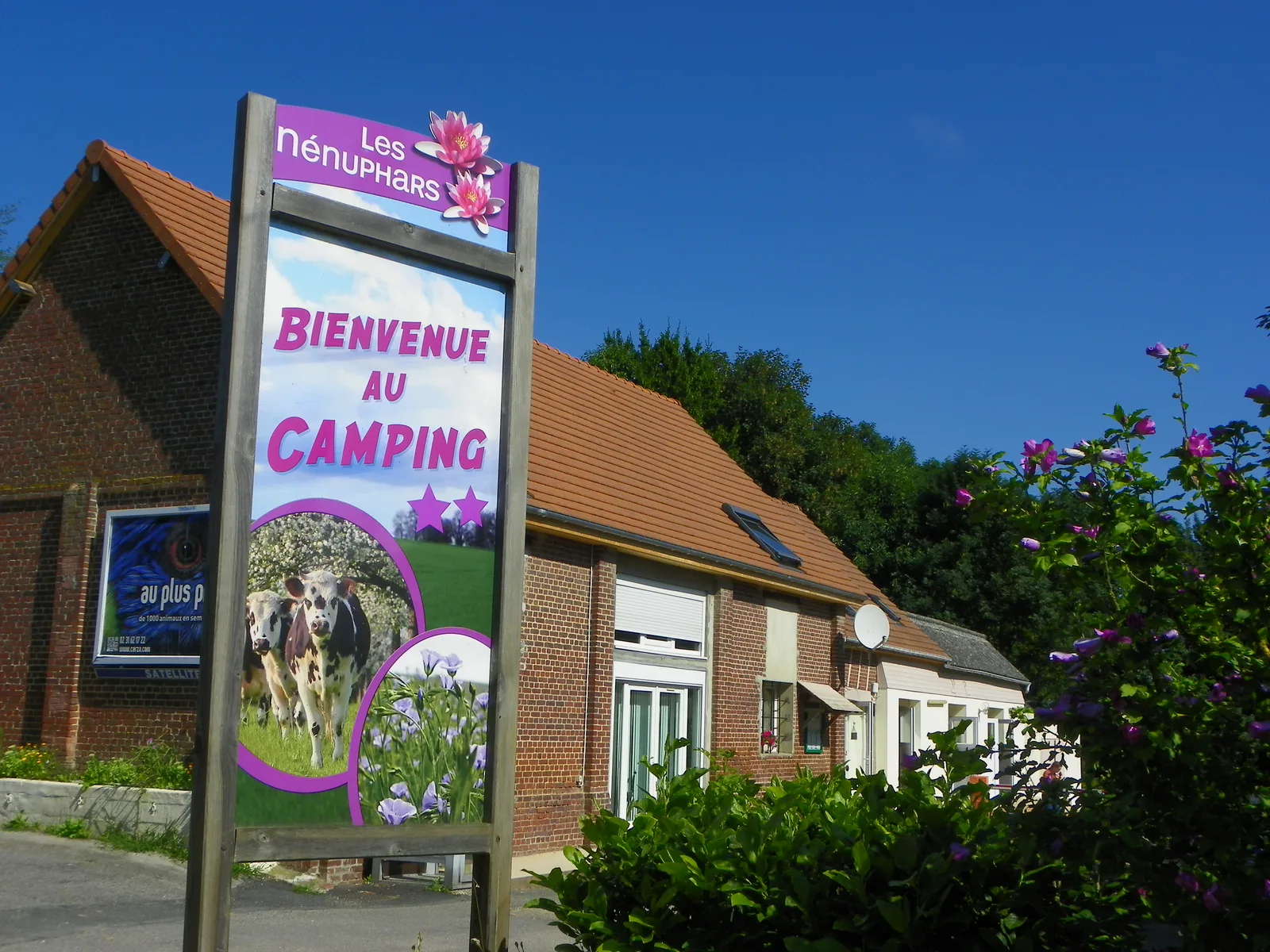Camping Les nénuphars