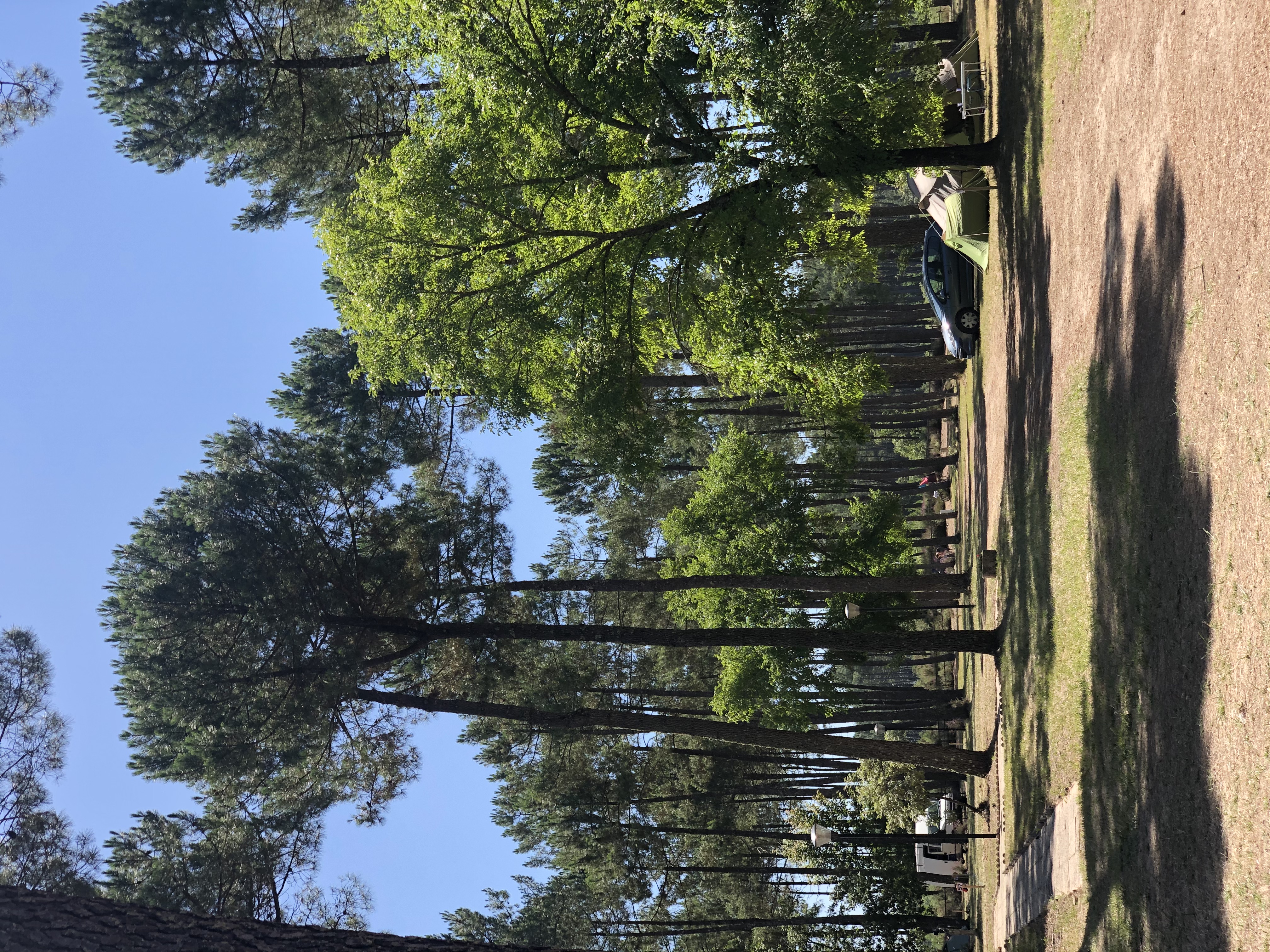 mairie pissoscamping pissos2