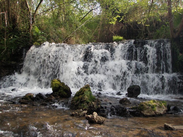 © canoê loisircanoe-loisir4_10