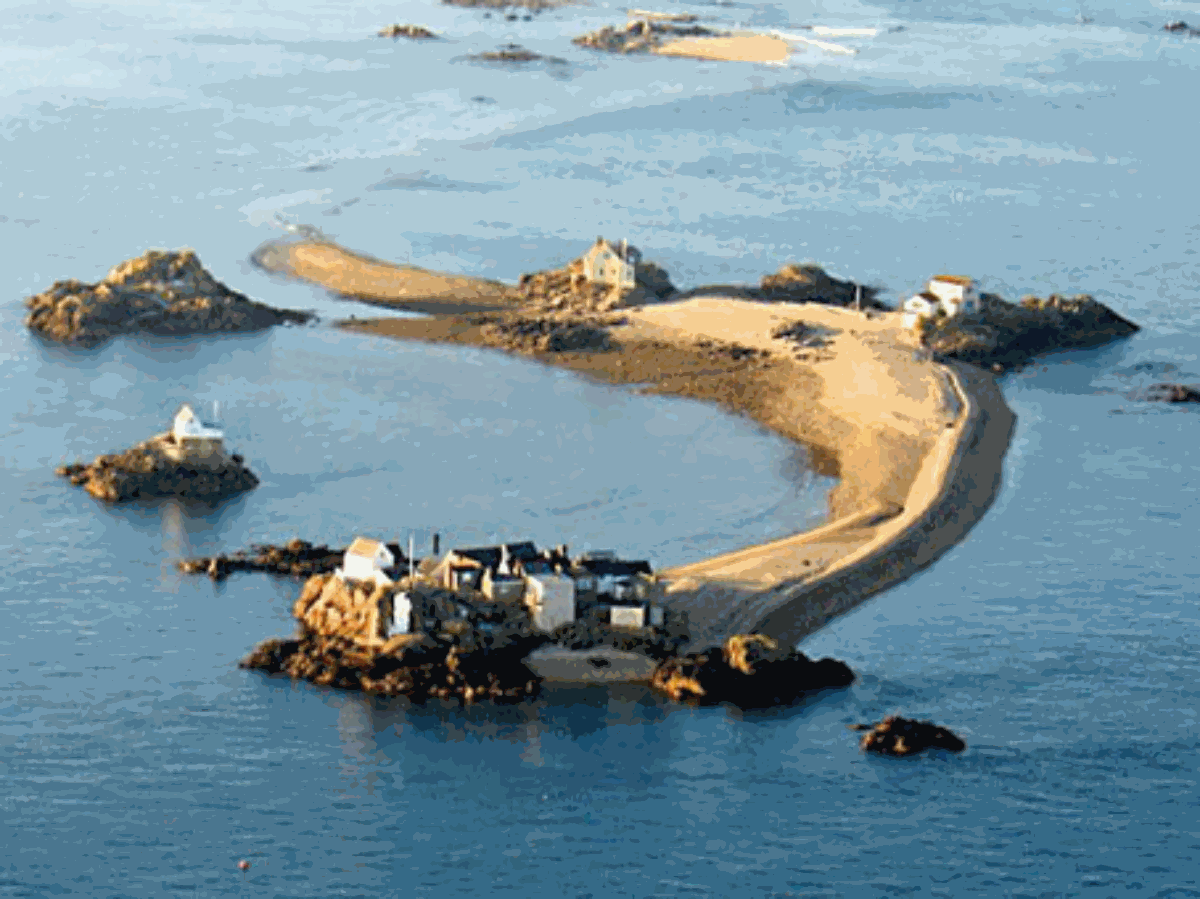 GOÉLETTE LA NEIRE MAÔVEcarteret-neire-maove- 14