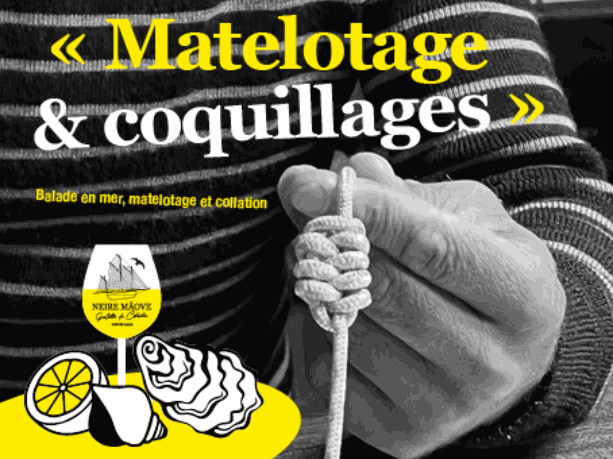 GOÉLETTE LA NEIRE MAÔVEcarteret-neire-maove- 7