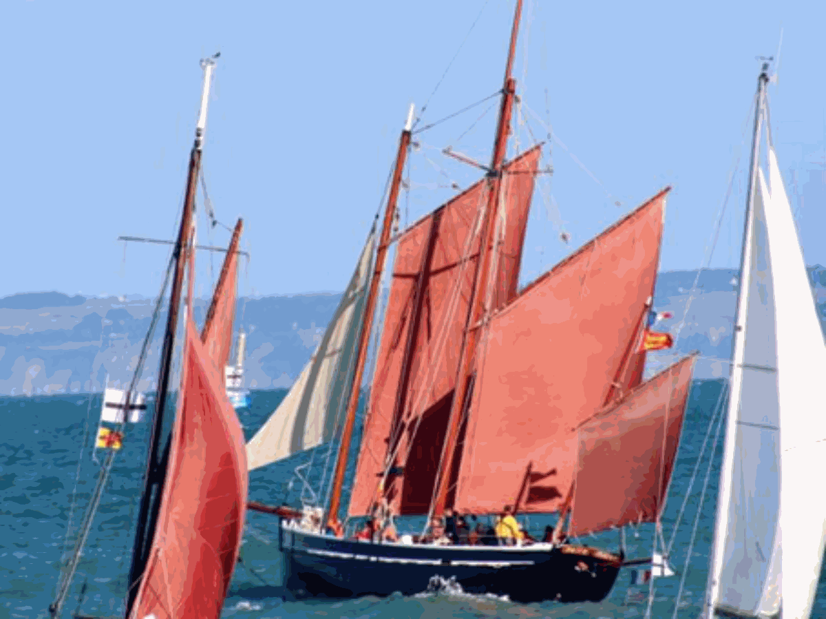 GOÉLETTE LA NEIRE MAÔVEcarteret-neire-maove- 8