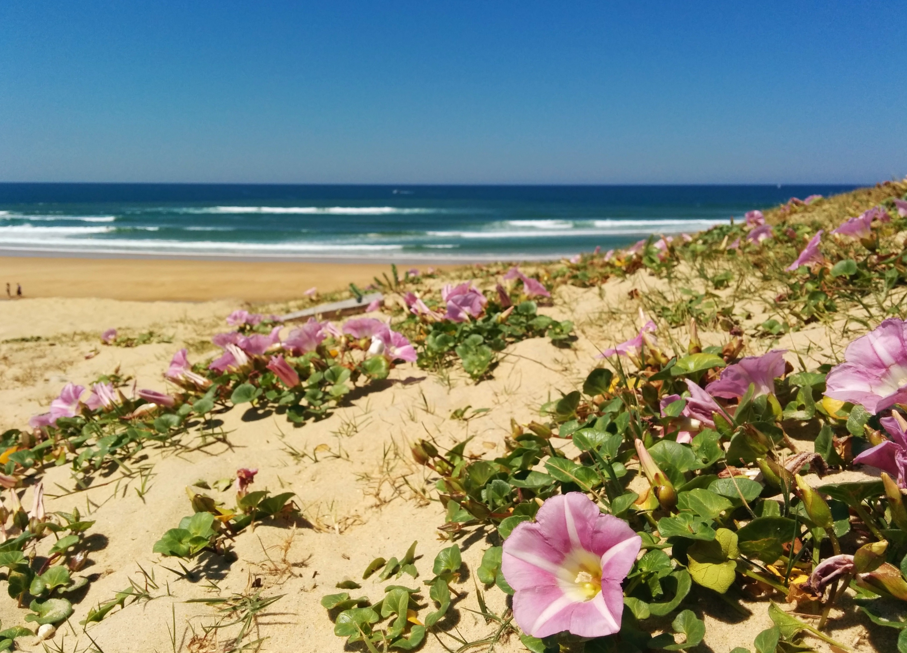 Seignosse TourismePlage des Casernes