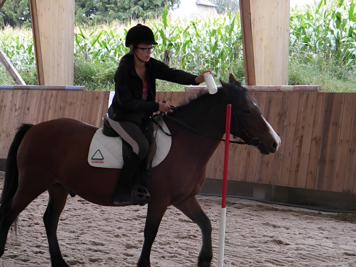 CE La SouleuvreCours équitation Souleuvre-en-Bocage